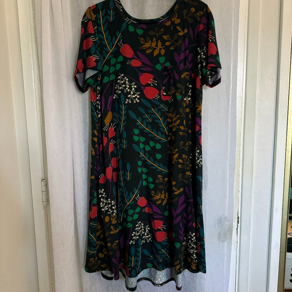 LuLaRoe Carly Swing Dress Black Floral, Large